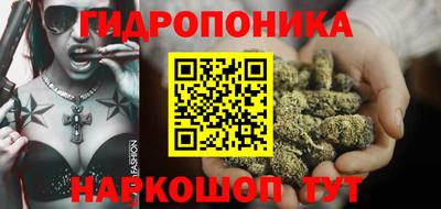 Альфа ПВП Будённовск
