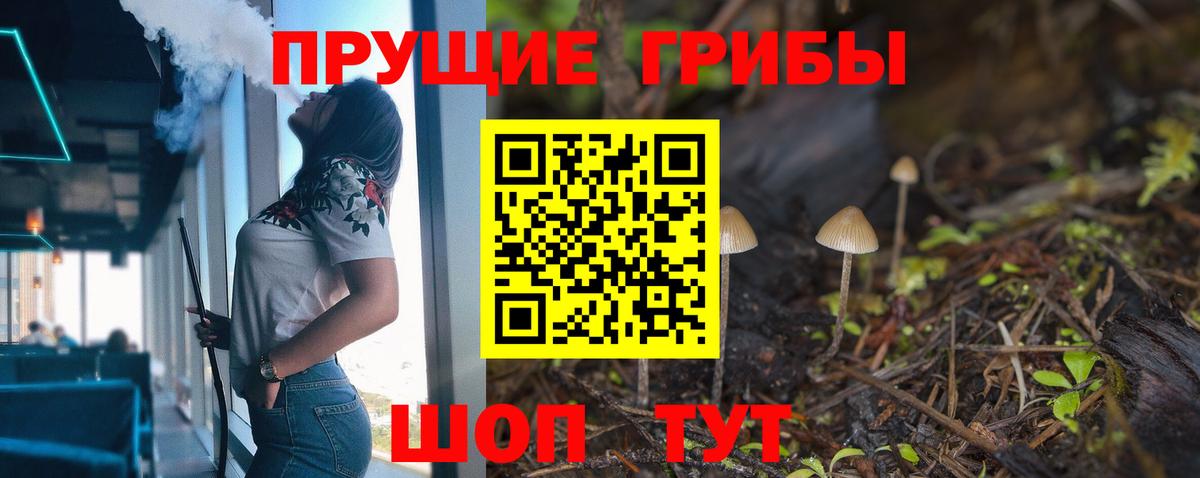 продажа наркотиков  Вход с VPN  Северобайкальск  Галлюциногенные грибы Psilocybine cubensis 